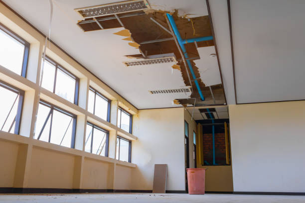 Best 24-hour water damage restoration  in Creola, AL