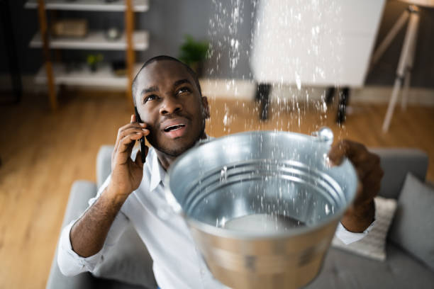 Best Sewage cleanup and water damage restoration  in Creola, AL