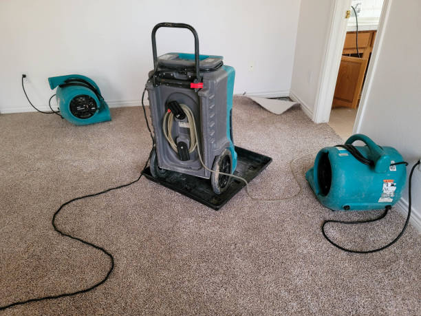  Creola, AL Water damage restoration Pros