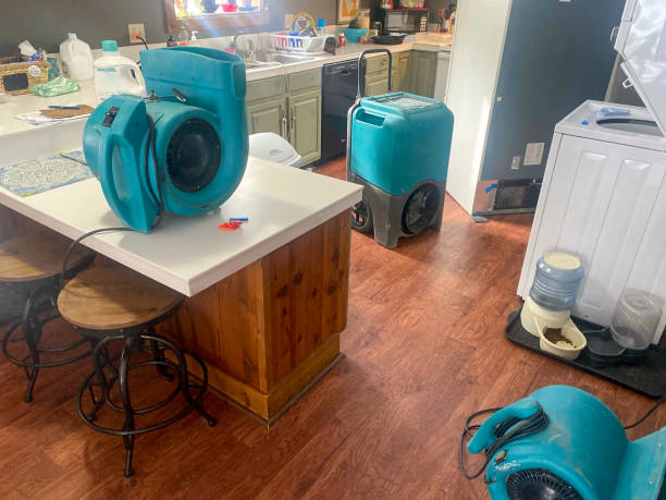 Best Mold removal after water damage  in Creola, AL