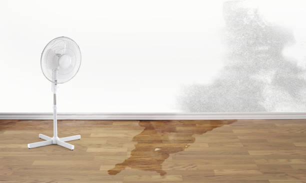 Water damage restoration process in Creola, AL