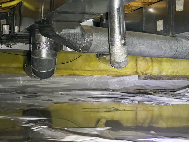 Best Water damage restoration near me  in Creola, AL