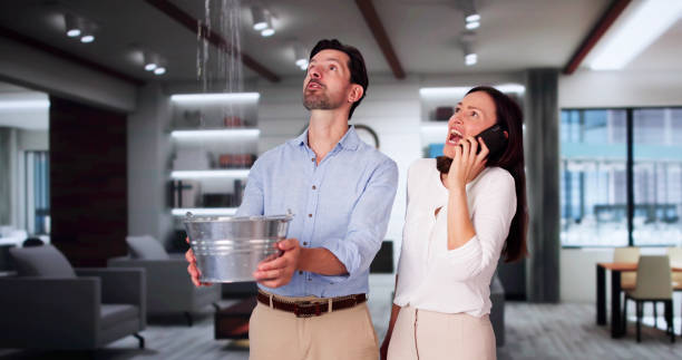 Best Flood damage cleanup  in Creola, AL