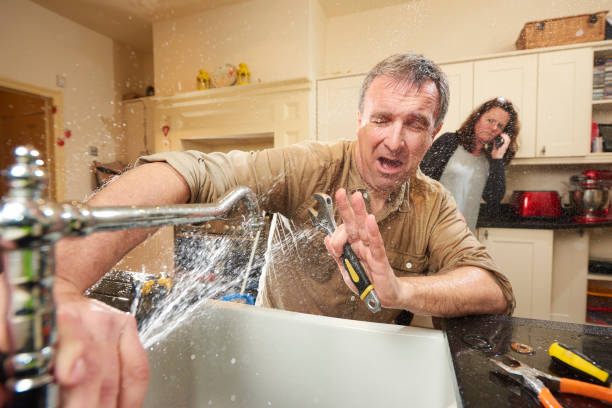 Best Water damage repair service  in Creola, AL
